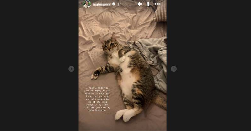 Instagram.com/mahiraemir